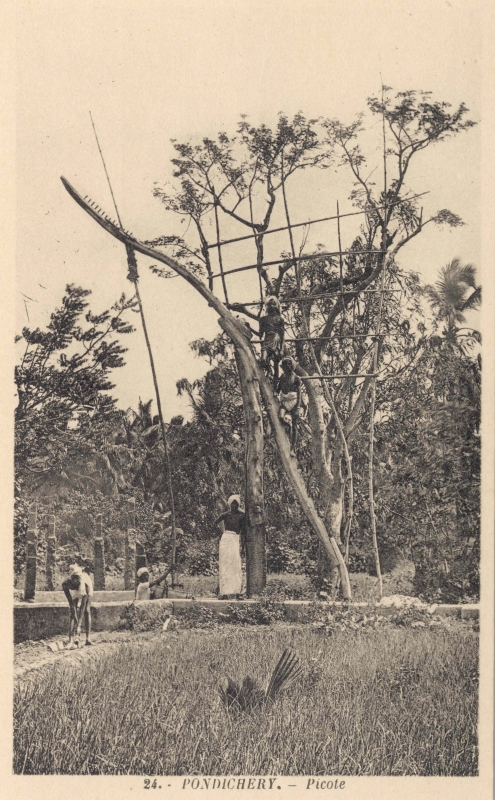 13-22 - Pondichery - picotte (puits) - 3